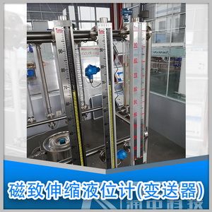 磁致伸缩液位计