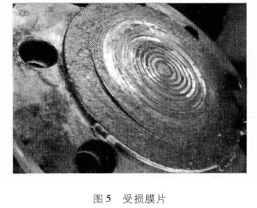 双法兰液位计膜片