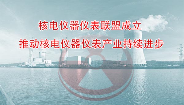 核电仪器仪表工业