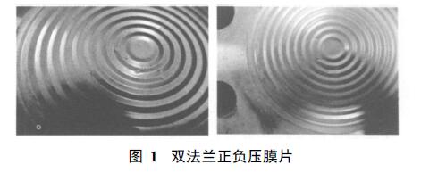 双法兰液位变送器膜片